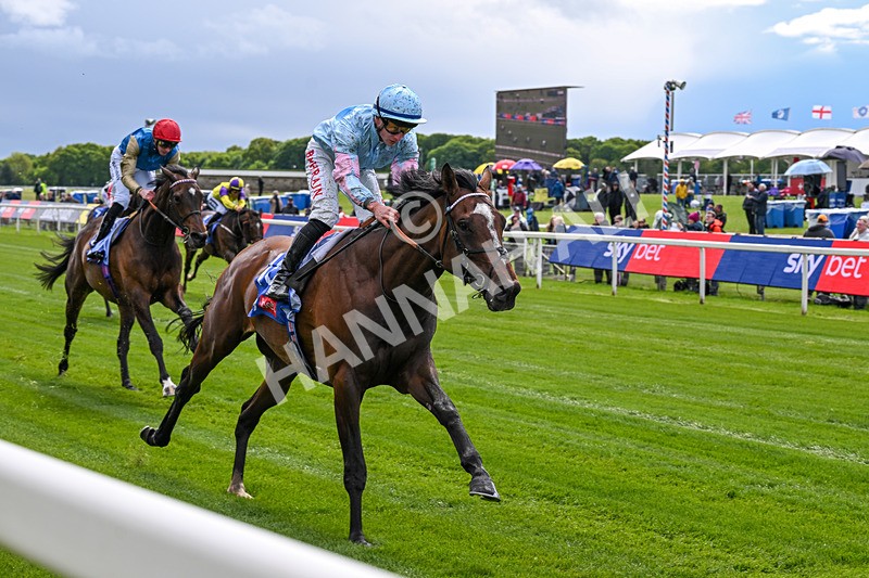 130526-Race 2-Klassleader-2461 - Race 2 2.20pm Sky Bet Race To The Ebor Jorvik Handicap