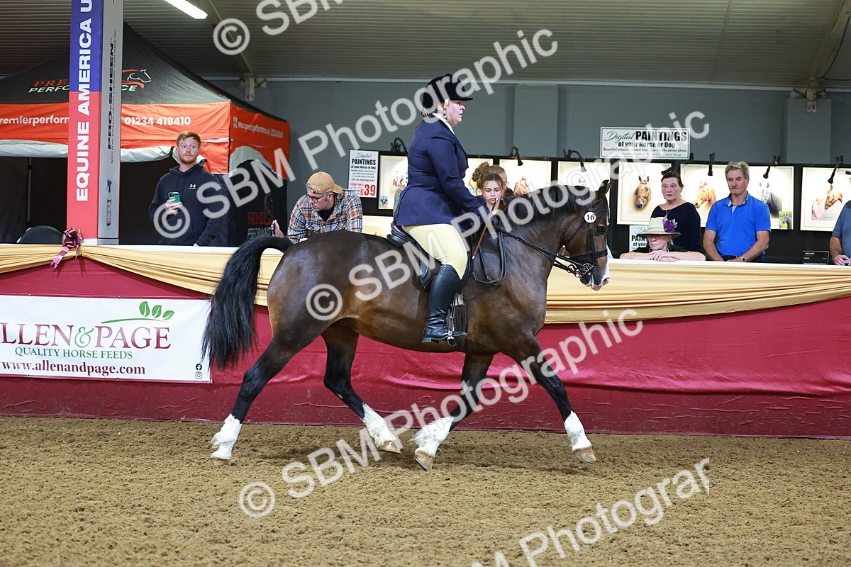 SBM_14711 - Class C - Novelty champ