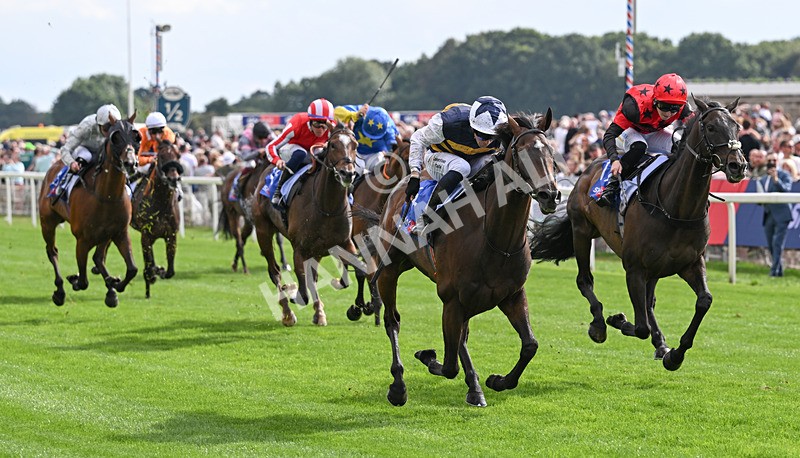 190826-186 Small Fry - Race 5 16.10pm Sky Bet Stayers Handicap