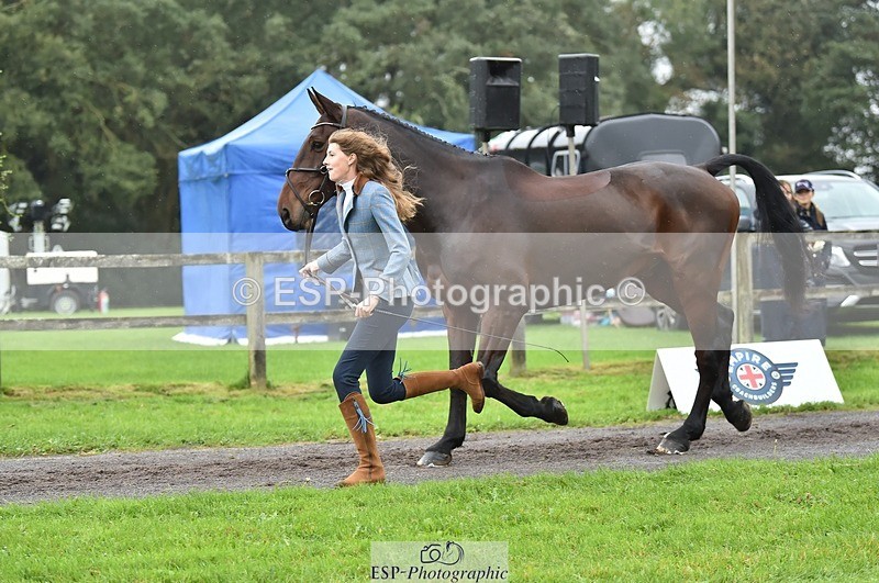 231018-124044-00444 - 052-SHANNONDALE.COURAGE-Georgina.Beeby.Wynn-TrotUp
