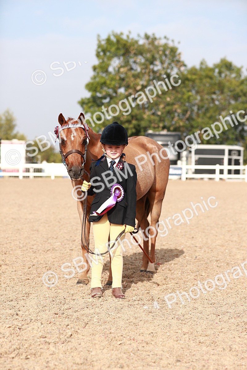 SBM_09951 - Class 203 Young Handler, 10 years and under