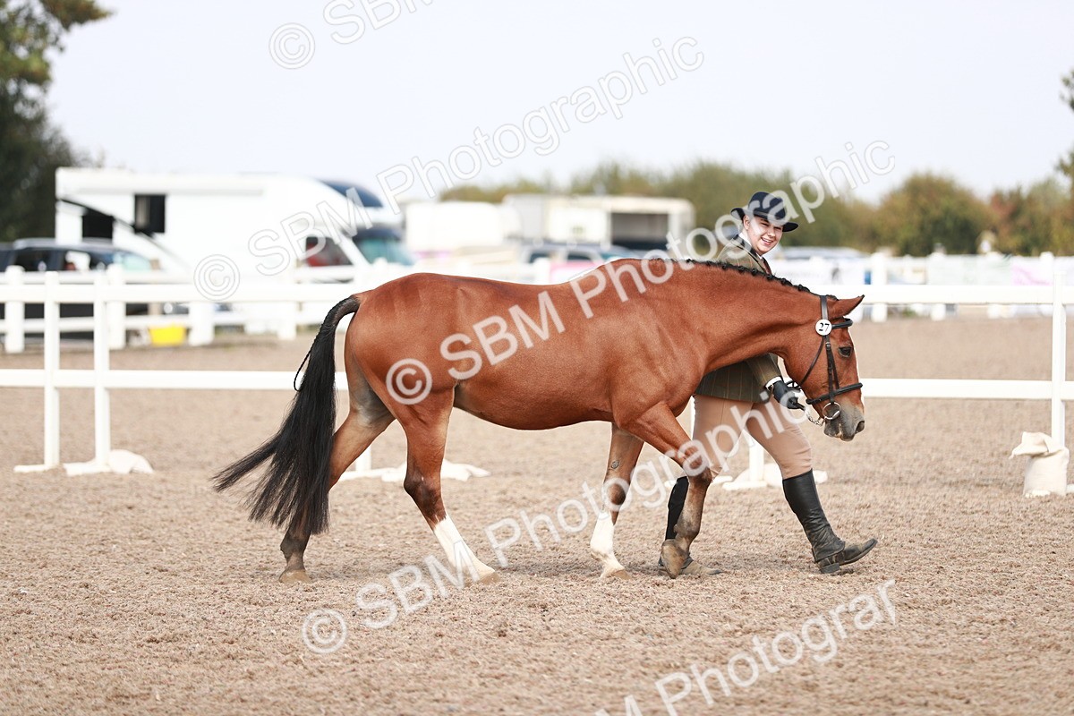 SBM_13812 - Class 209 IH Veteran Pony