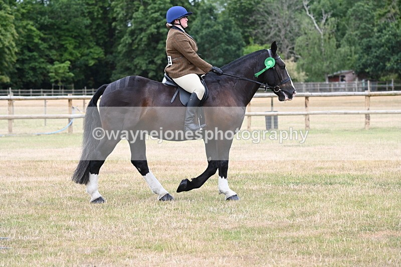 WJ6_4096 - Class 9 Tack & Turnout