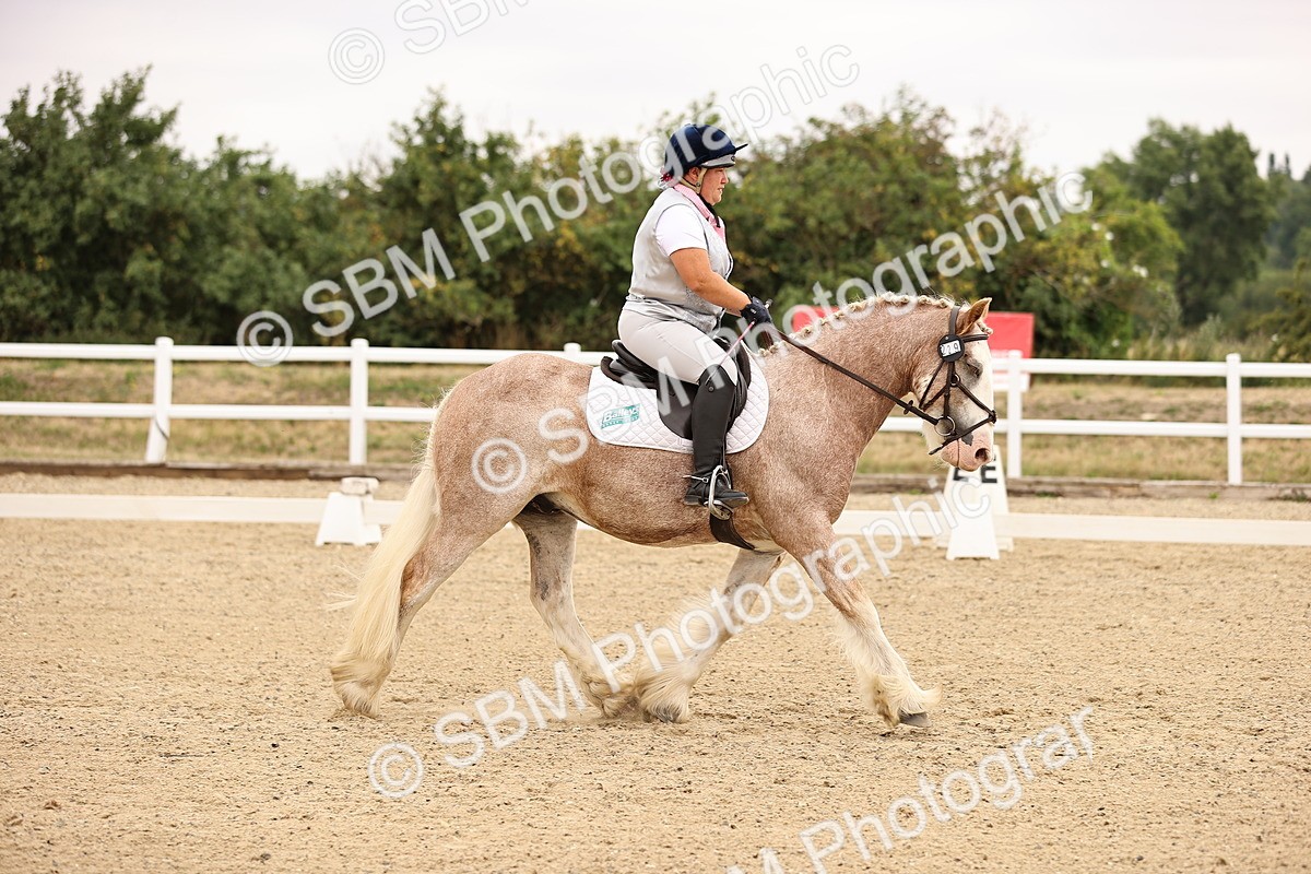 SBM_006417 - Intro 3 - 9.46-10.46