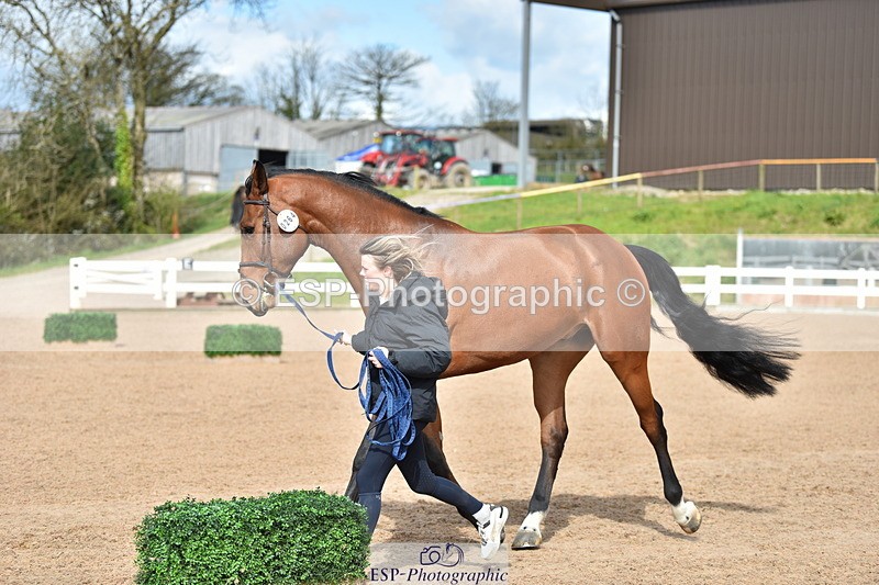 240417A-154620-00991 - 3pm to 4pm