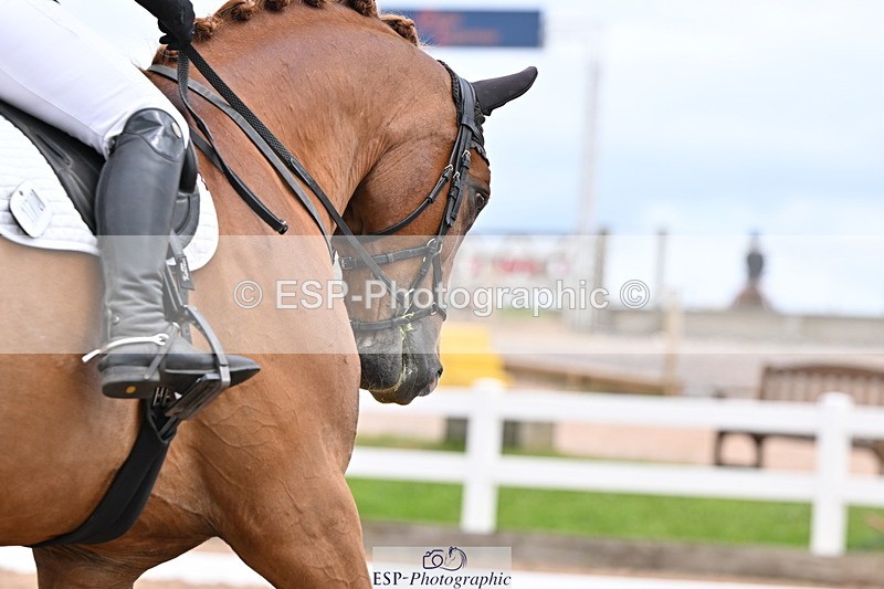 240622A-130951-10481 - Cls 29 BD Elementary 45