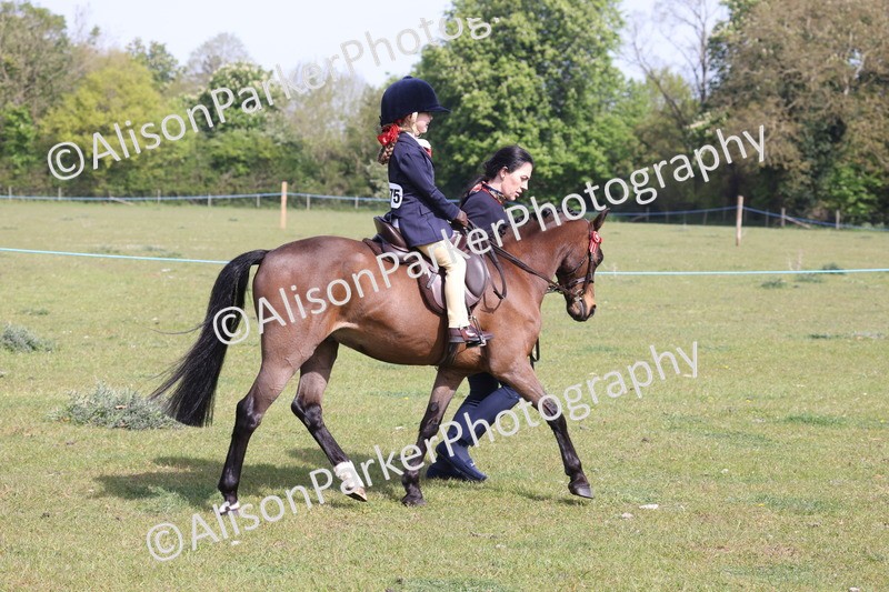 20260426-0598 - Class 31 - Leading Rein