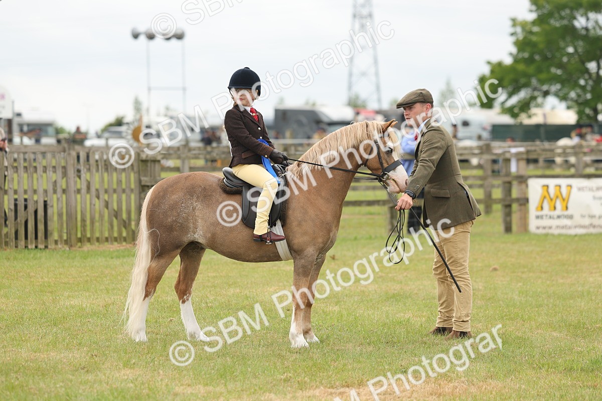 SBM_06945 - Class 74-75 - M&M Lead Rein and First Ridden Pony