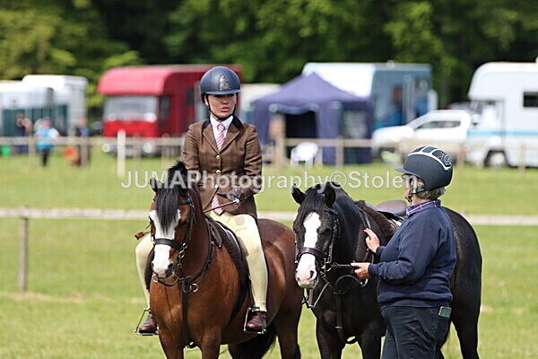 IMG_3457 - Working Hunter
