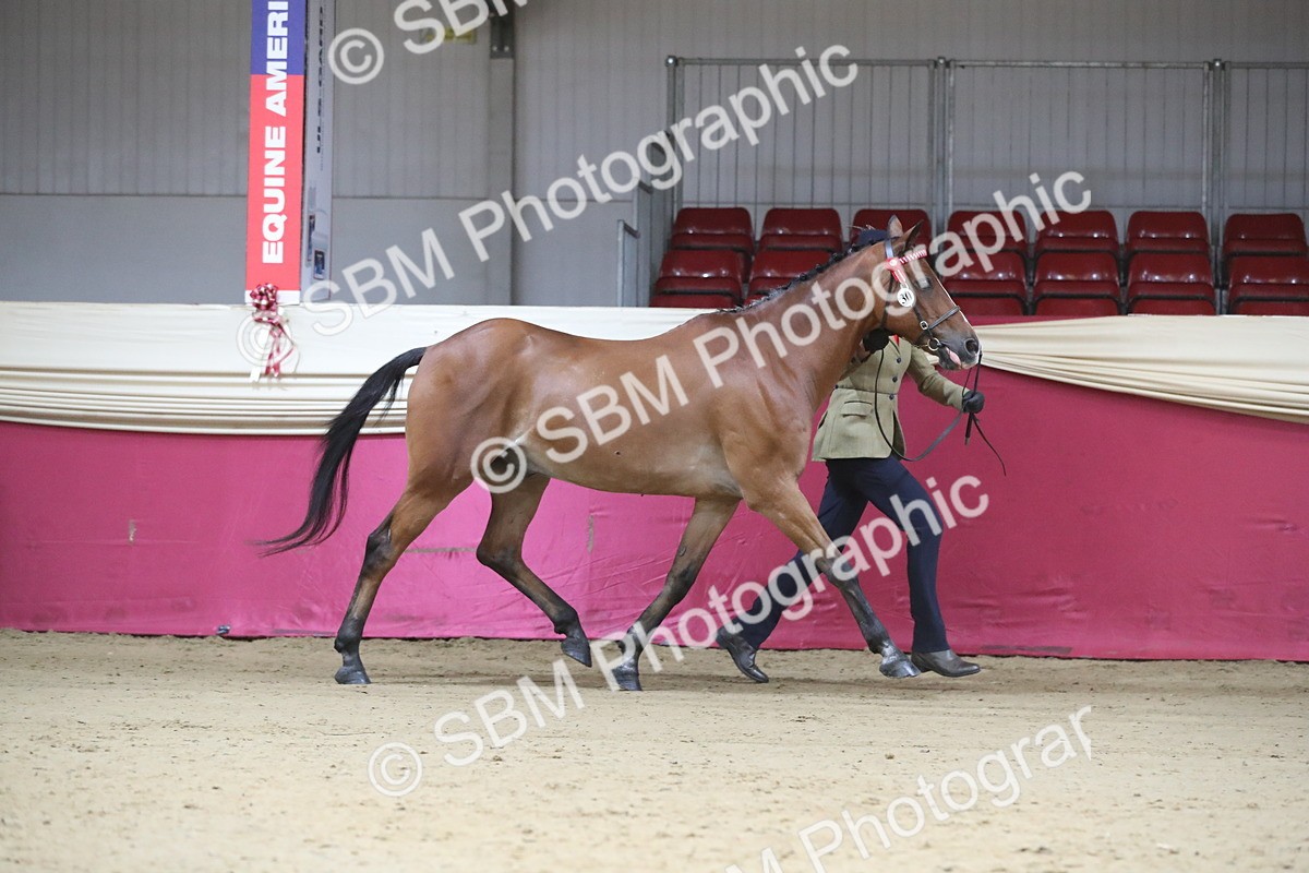 SBM_00209 - Class 1a - Area IH Diamond