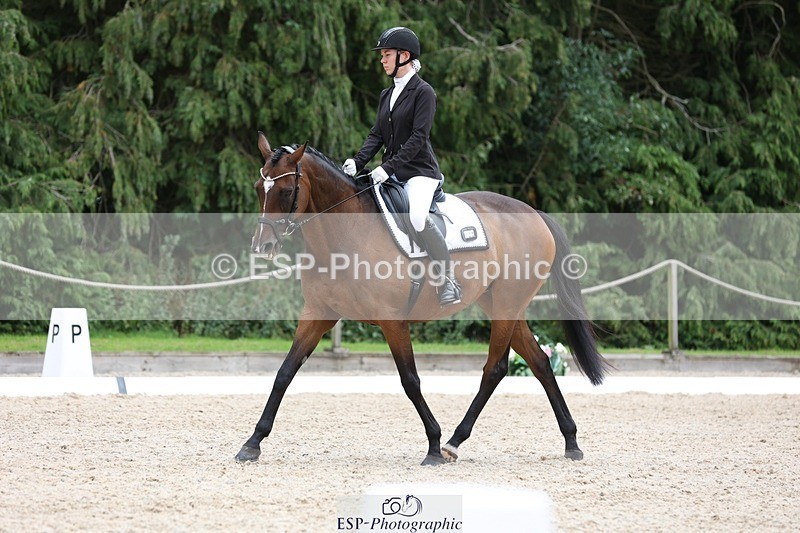 230813-153043-08089 - Cls 11 Elem Bronze 14.30 to End