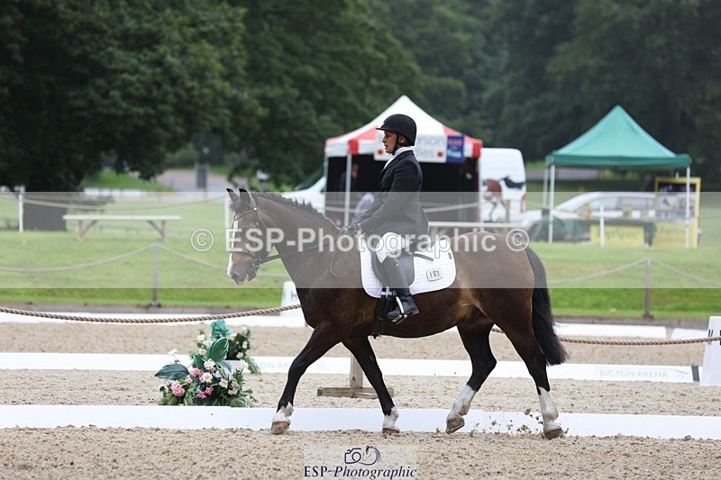 230812-102211-03202 - Cls 5 Novice Bronze Start to 10.55 break