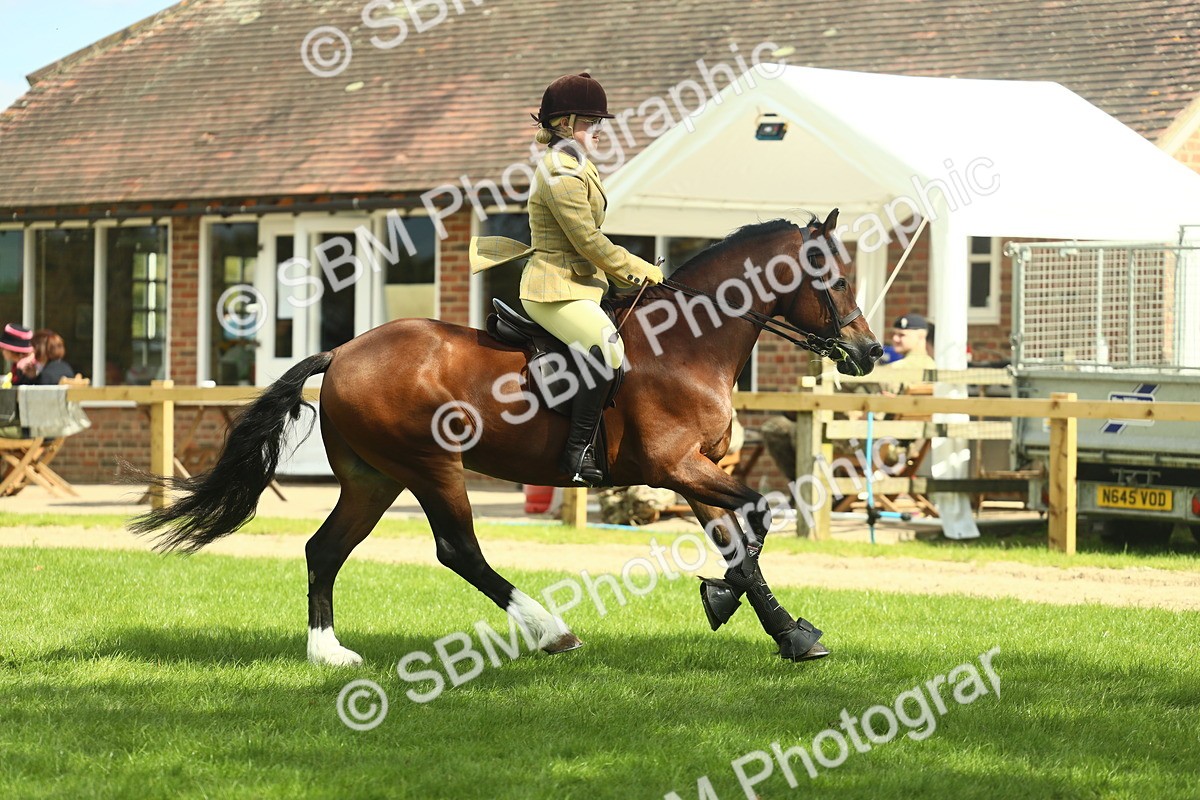 SBM_42963 - S30 - M&M Working hunter Pony