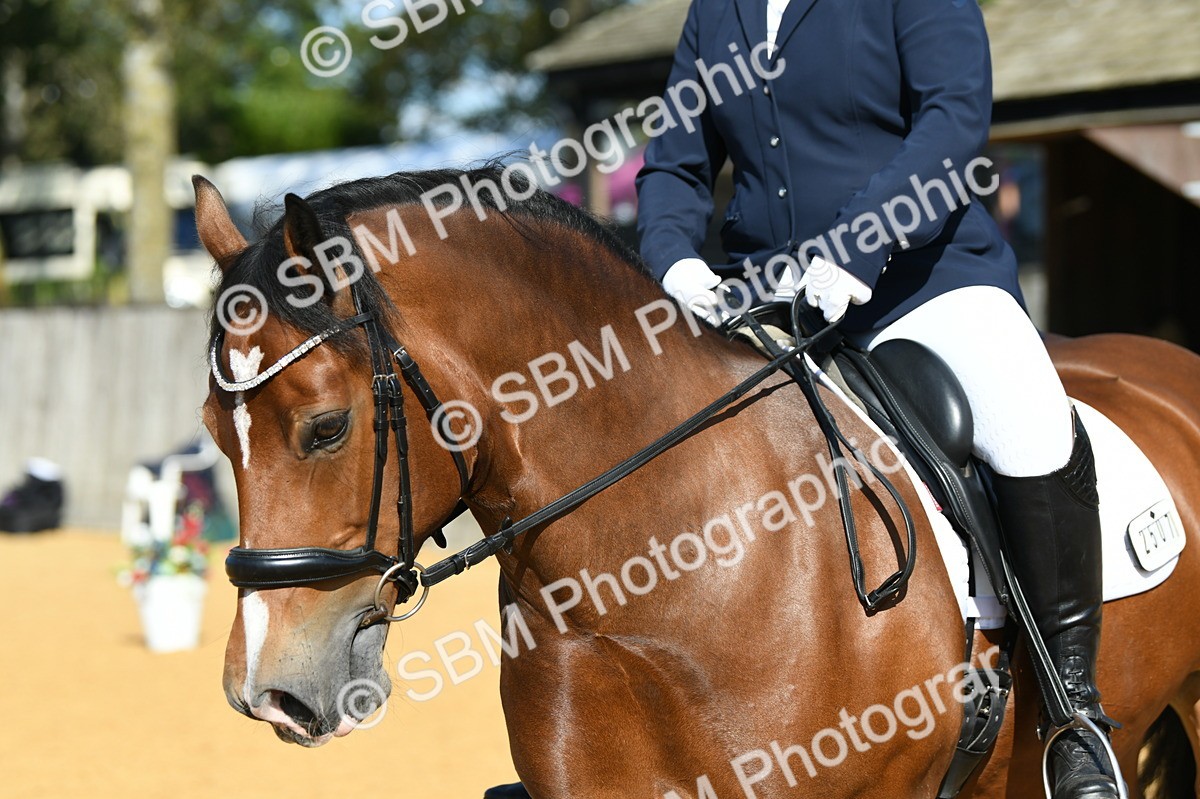 SBM_25026 - D13 - Grand Tour Championship - Prelim 12