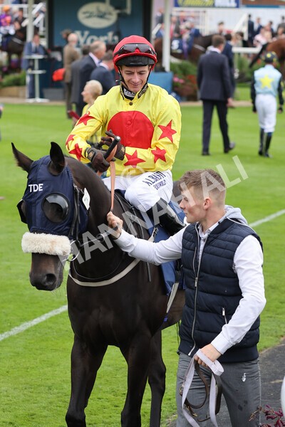 yr24092021r3-11 - Race 3 2.40pm WilliamHill.com Best Odds Guaranteed Stakes