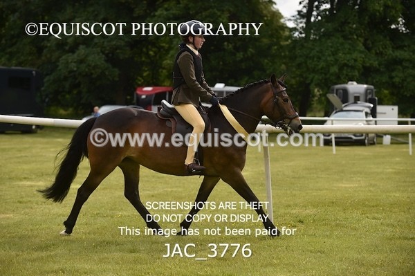 JAC_3776 - 75CM WORKING HUNTER