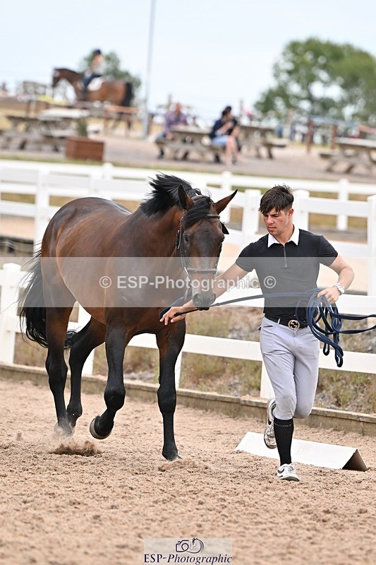 250716-160037-02340 - Trot Up 3.30 to 4.30