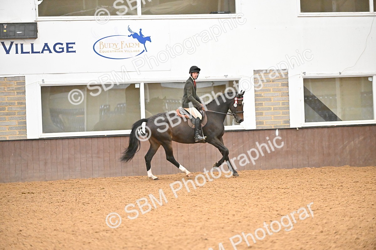 SBM_002395 - Class 22 - BSHA Ridden Hack & Riding Horse