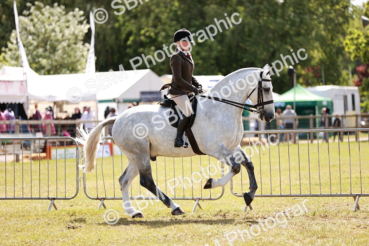 SBM_14021 - Class 85-87 - RIHS Cobs