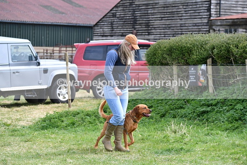 WJ5_9556 - Class 3 Most Handsome Dog