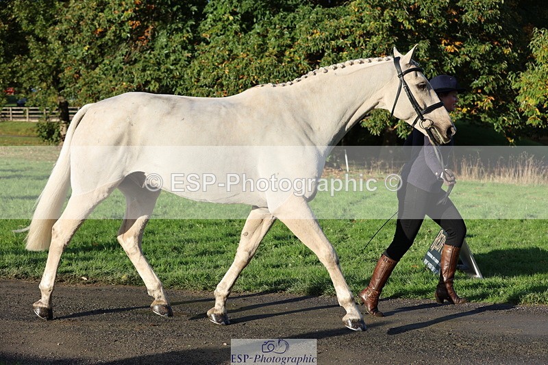 251026A-093323-22330 - D-344-Johanne.Heuff