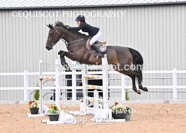BPP_5299 - CLASS 8 THURS HOYS GFS Saddles Senior Newcomers Second Round