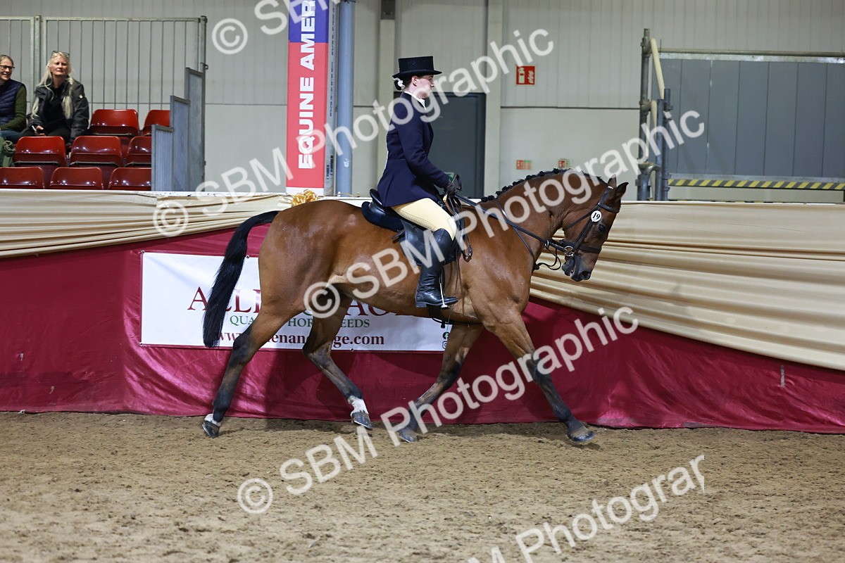 SBM_21348 - Class T - Working Veteran Champs