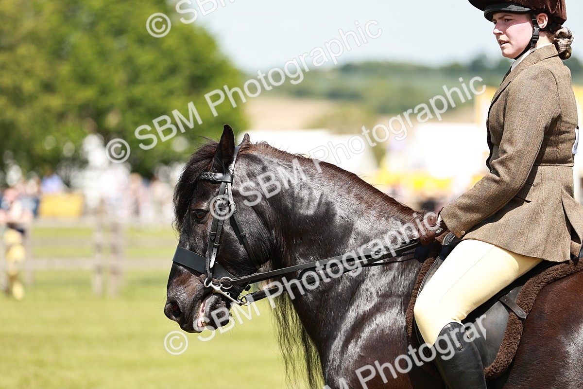 SBM_07113