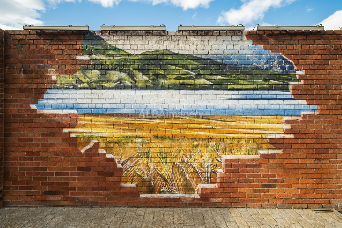 Glasgow Mural Trail - Mural Trail Images