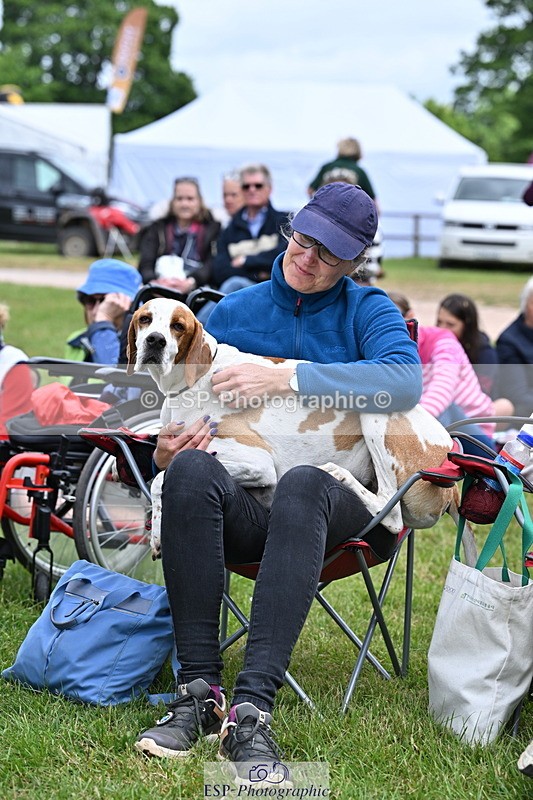 250525A-104536-15773 - Western Counties Crowds