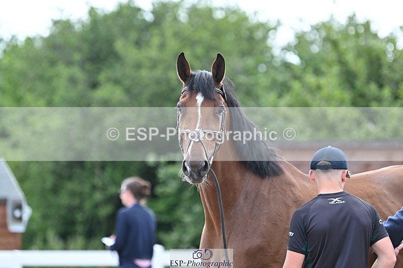 240717A-143551-02133 - Trot Up 2pm to 3pm - This folder is not in time order