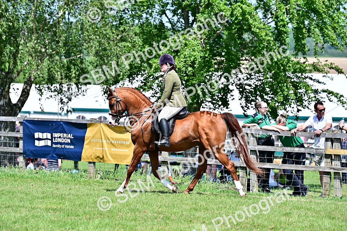 SBM_17454 - Class 95-97 - BSPS LHS Performance Ponies