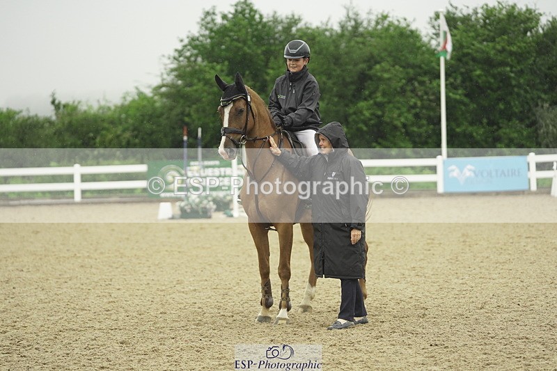 230722A-134006-09463 - Cls 15, 1 Star Bronze 1.15m