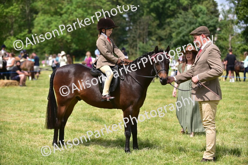 20260614-1377 - Class 11b - Lead Rein Pony (Plaited)