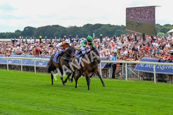 280625-Race 2-Quinault-0135 - Race 2 2.25pm Al Basti Equiworld Dubai Criterion Stakes
