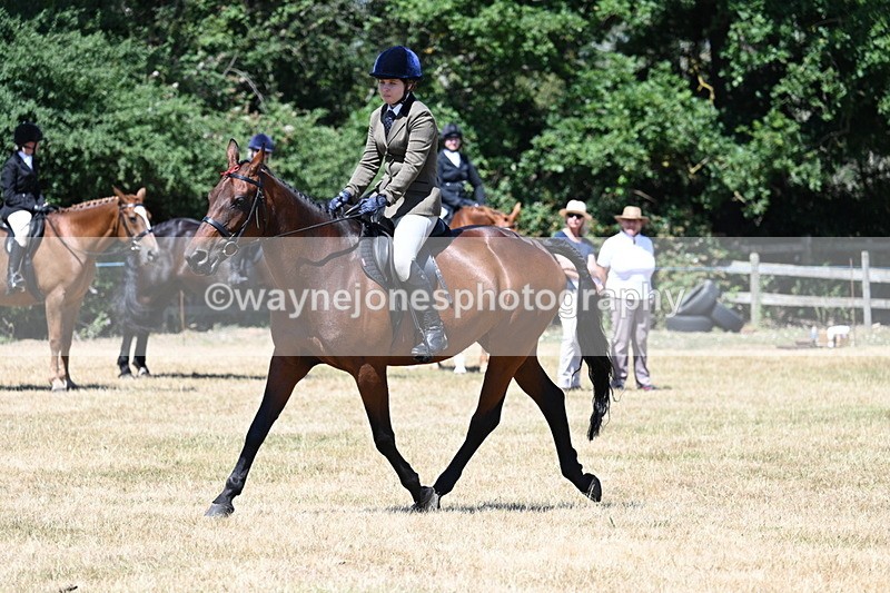 WJ7_3068 - Class 7 Riding Club Show Horse