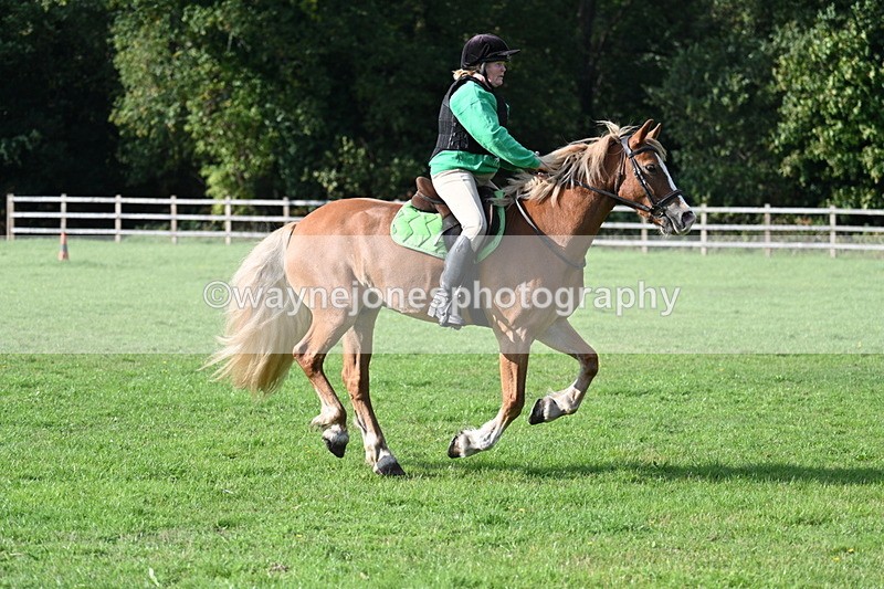 WJ7_3482 - 40cm Time 10:08 to 10:25