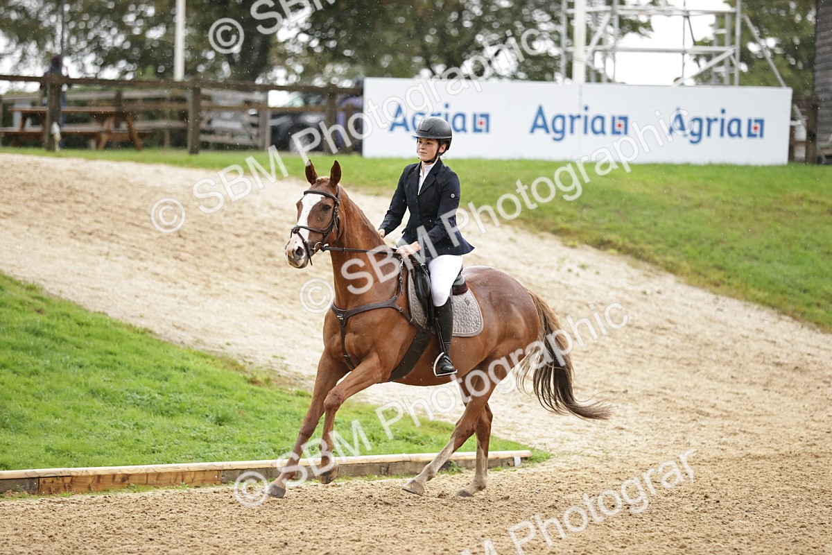 SBM_35879 - J38 - Senior Horse & Pony 80cm Championship