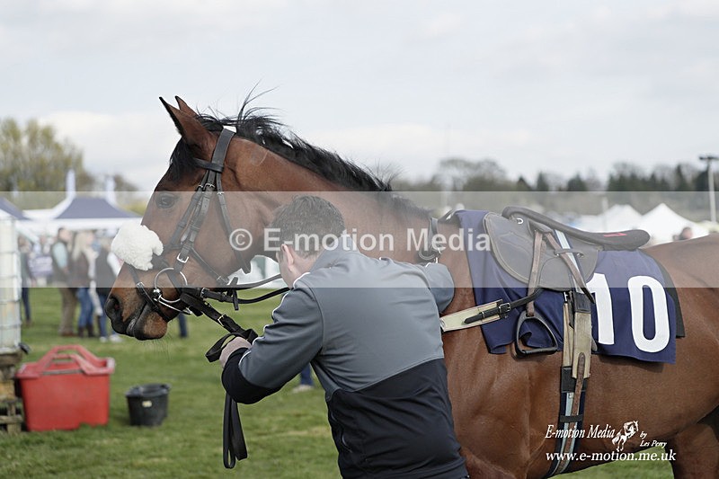 PtP 080423 896 - Dingley Races The Woodland Pytchley Hunt PtP 08/04/23