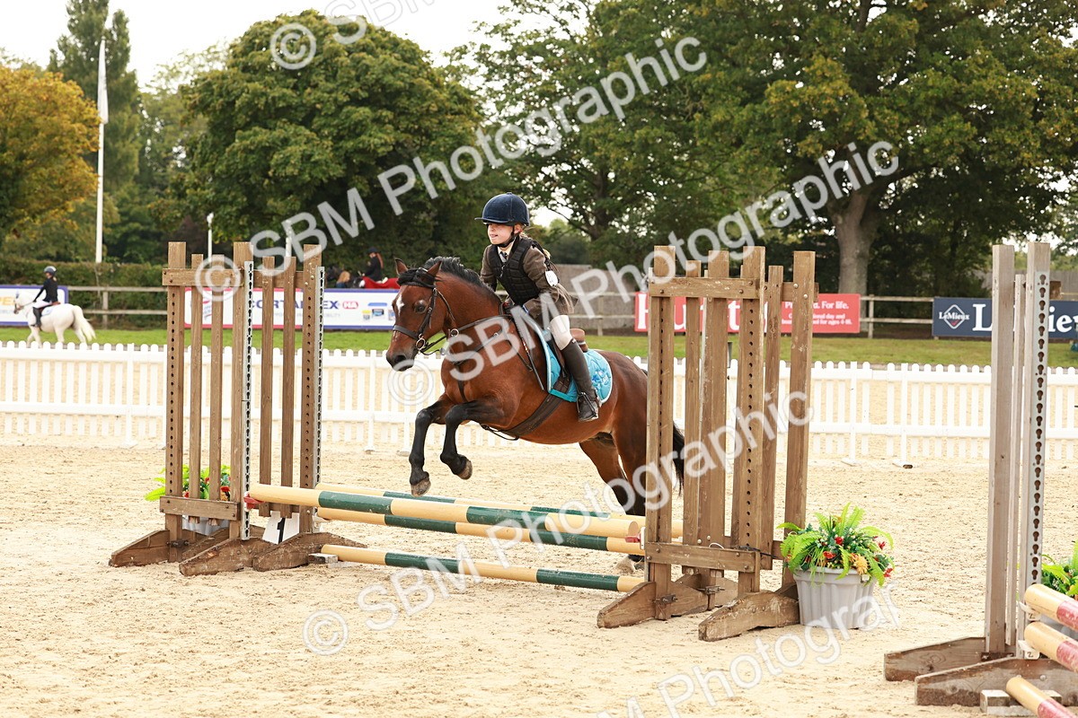 SBM_57724 - J11 - Junior Pony 50cm Championship