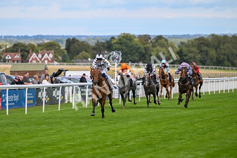 170925-Race 4-Dunkeld Dreamer-4863 - Race 4