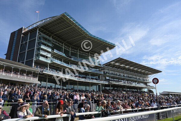 yr08102021r1-13 - Race 1 2.05pm Parsonage Hotel and Cloisters Spa Nursery Handicap