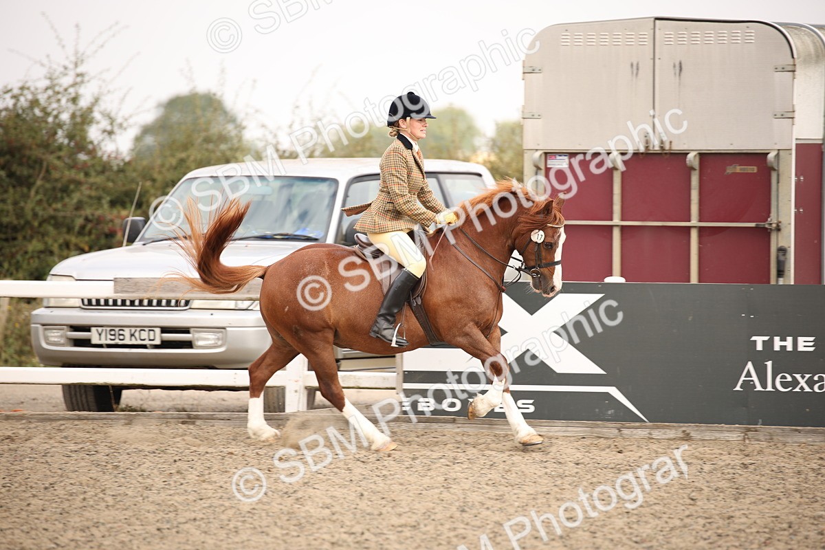 SBM_12254 - Class 405a - M&M Working Veteran 50cm (15-19)