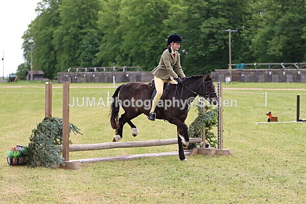 IMG_2562 - Working Hunter