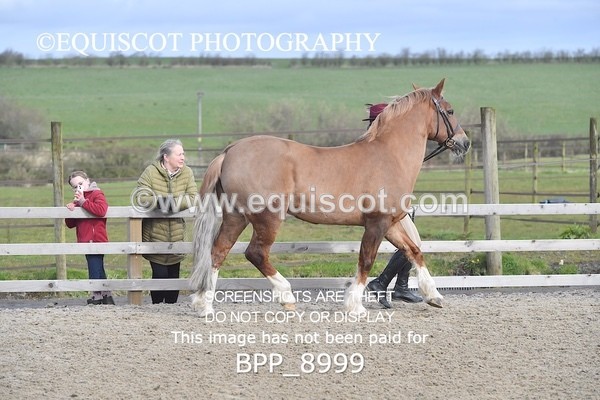 BPP_8999 - RING 2 - M&M