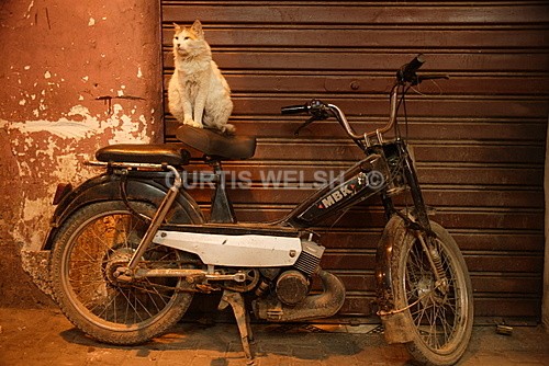  - MOROCCO