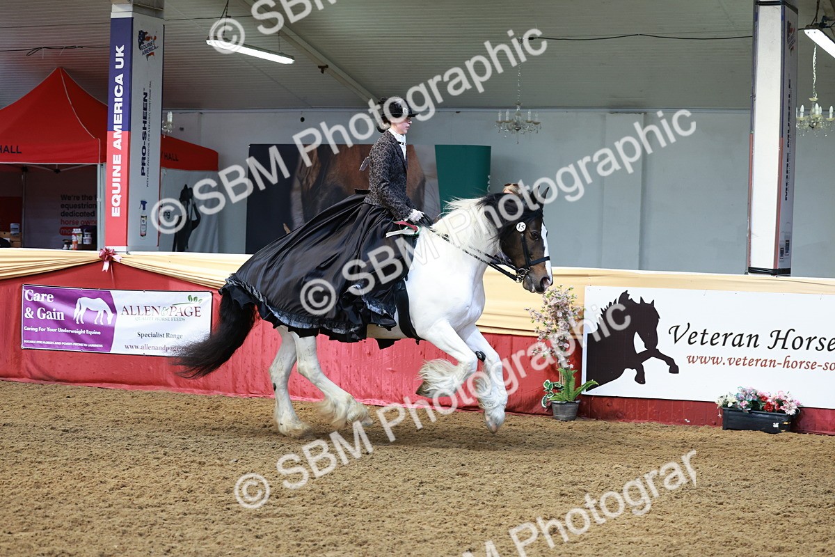 SBM_13843 - Class 106 - Ridden Costume -Astride Adult (15-19)