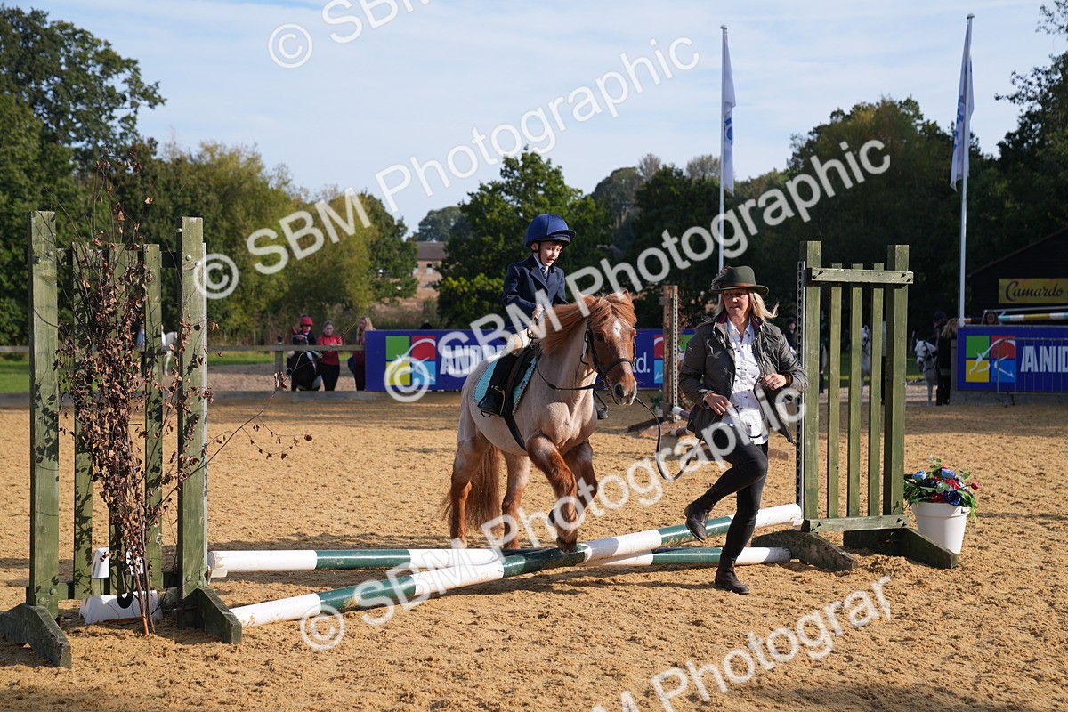 SBM_61271 - J1 - Mini Tour Junior Pony Lead Rein 30cm Championship