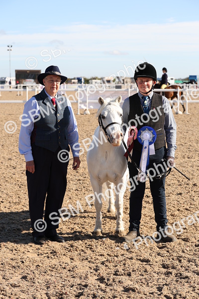 SBM_11770 - Class 204 - Young Handler 11 to 16 years