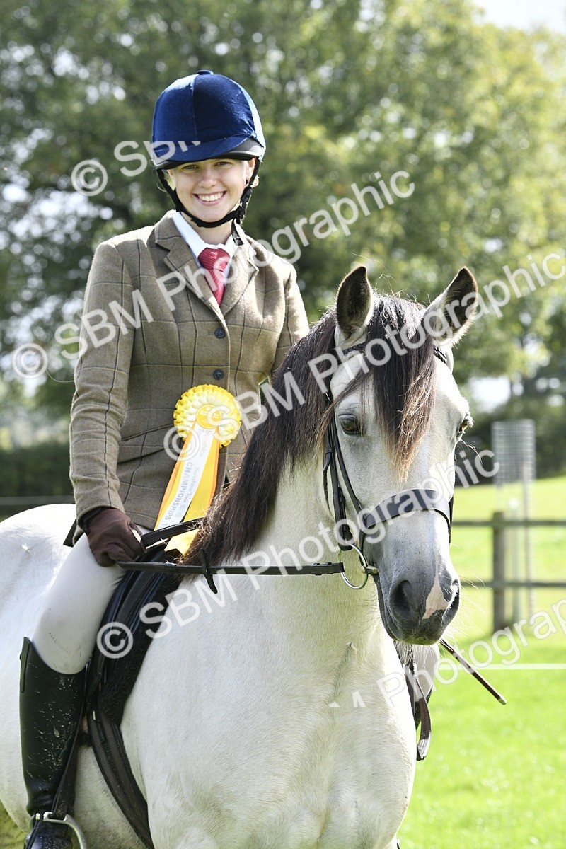 SBM_41687 - S32 - Mountain & Moorland Working Hunter Pony